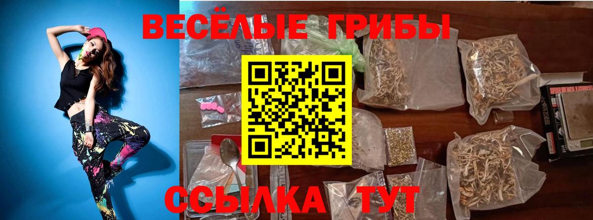 Псилоцибиновые грибы мухоморы Фрязино