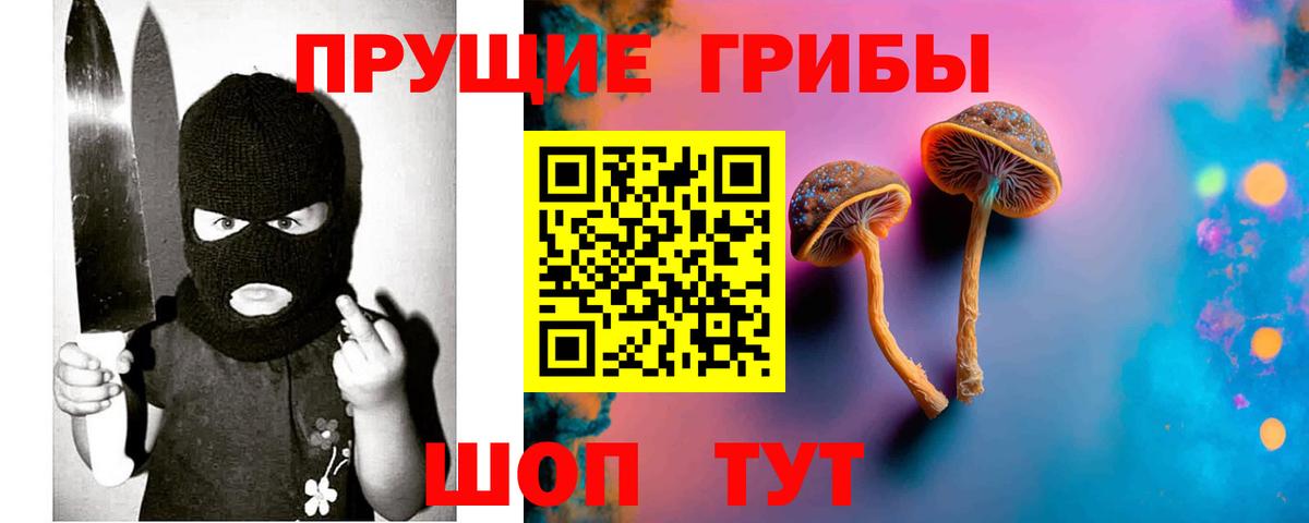 Псилоцибиновые грибы мухоморы  даркнет сайт  Фрязино  Галлюциногенные грибы Psilocybine cubensis  Вход с VPN 